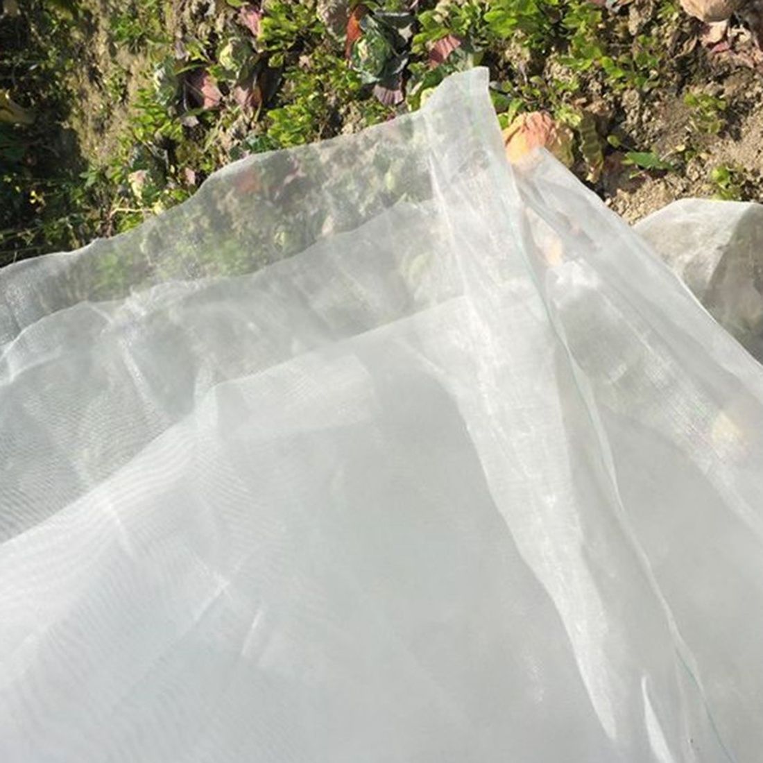 Greenhouse Protective Net Fruit Care Cover Insect