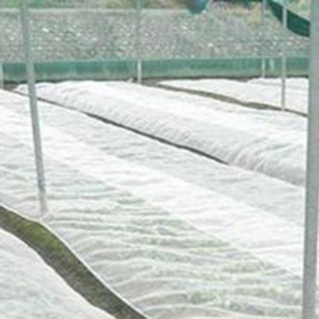 Greenhouse Protective Net Fruit Care Cover Insect