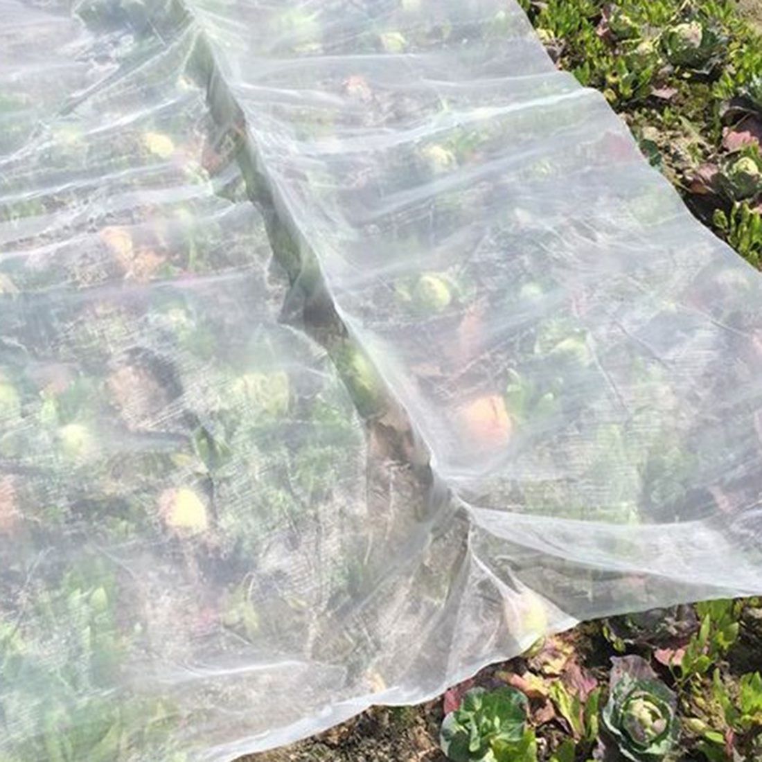 Greenhouse Protective Net Fruit Care Cover Insect