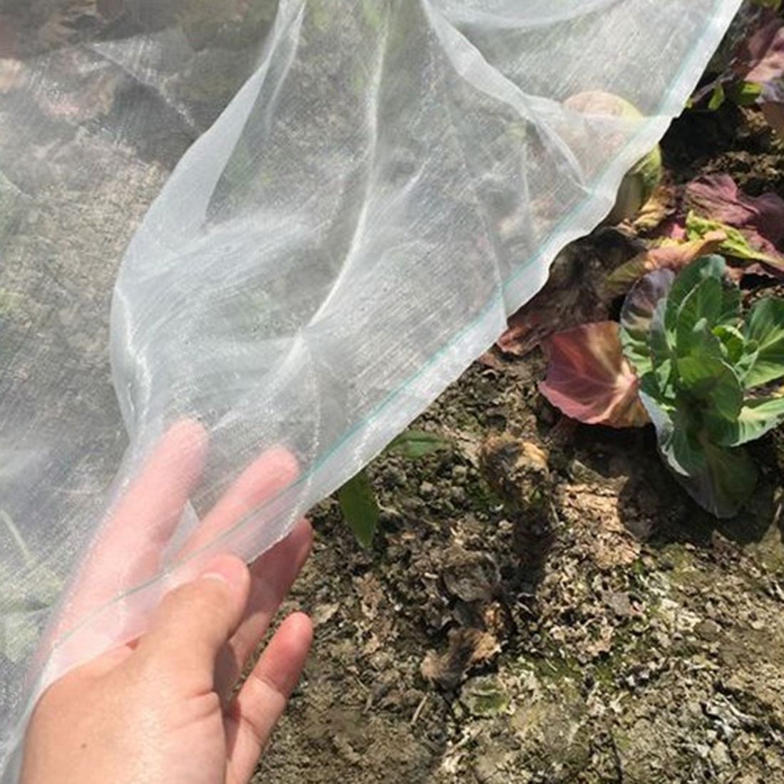 Greenhouse Protective Net Fruit Care Cover Insect