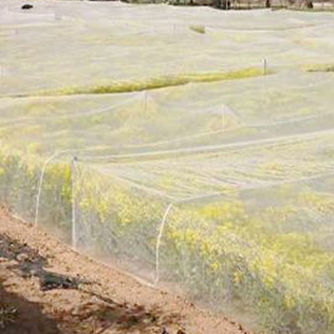 Greenhouse Protective Net Fruit Care Cover Insect