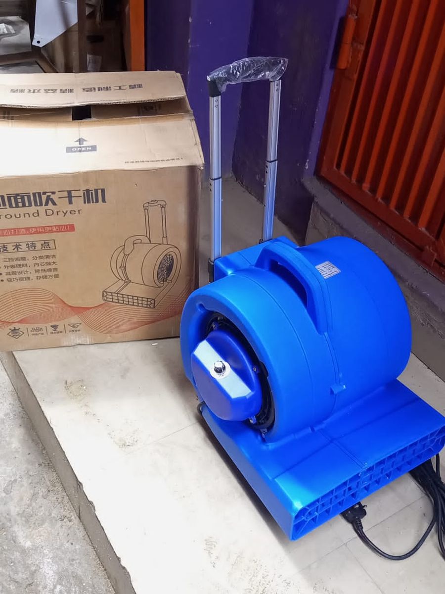 Electric Rug Dryer And Blower