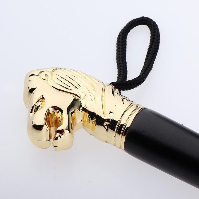 Arm Extender Long Metal Shoe Horn Shoehorn Shoe Lifter With Lion Head