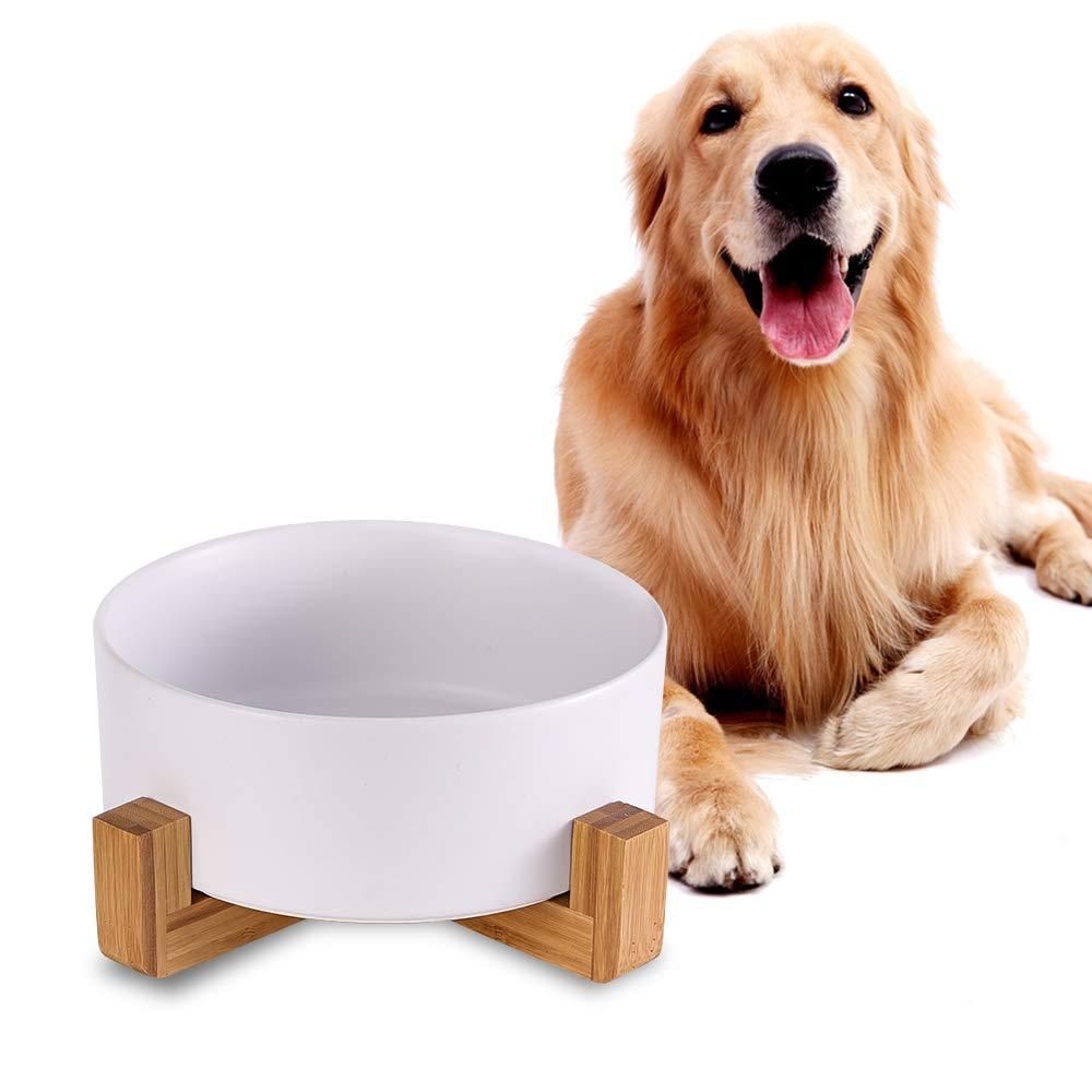 Cat Bowls, Kitten Bowl for Food and Water, Raised Ceramic Cat Food Bowl to Protect Pet' Spine, with Wood Stand (White)
