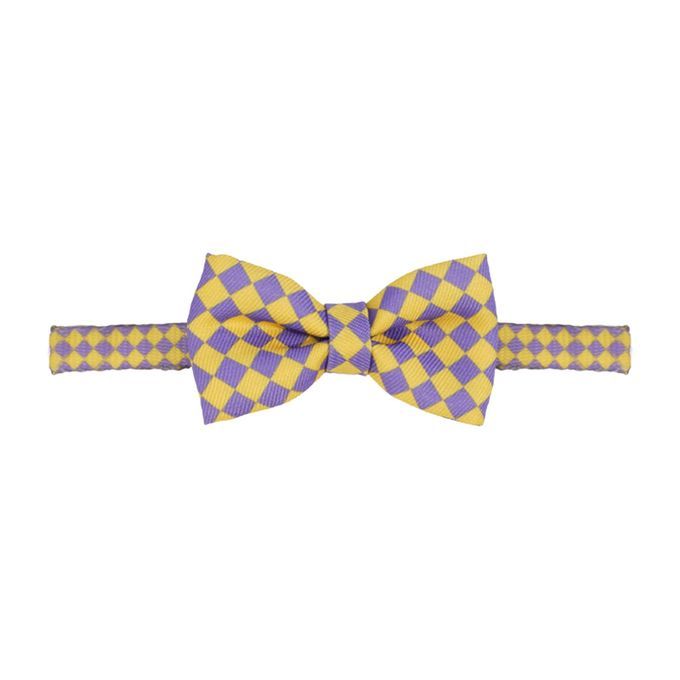 Plaid Pattern Bowknot Neck Strap Adorable