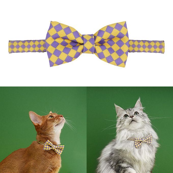 Plaid Pattern Bowknot Neck Strap Adorable