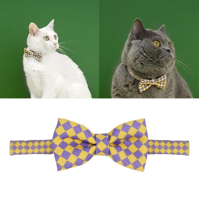 Plaid Pattern Bowknot Neck Strap Adorable