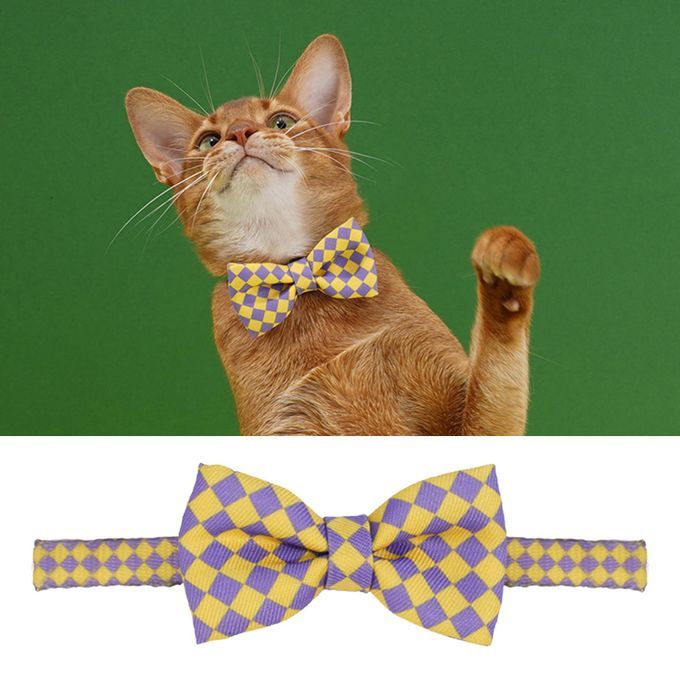 Plaid Pattern Bowknot Neck Strap Adorable