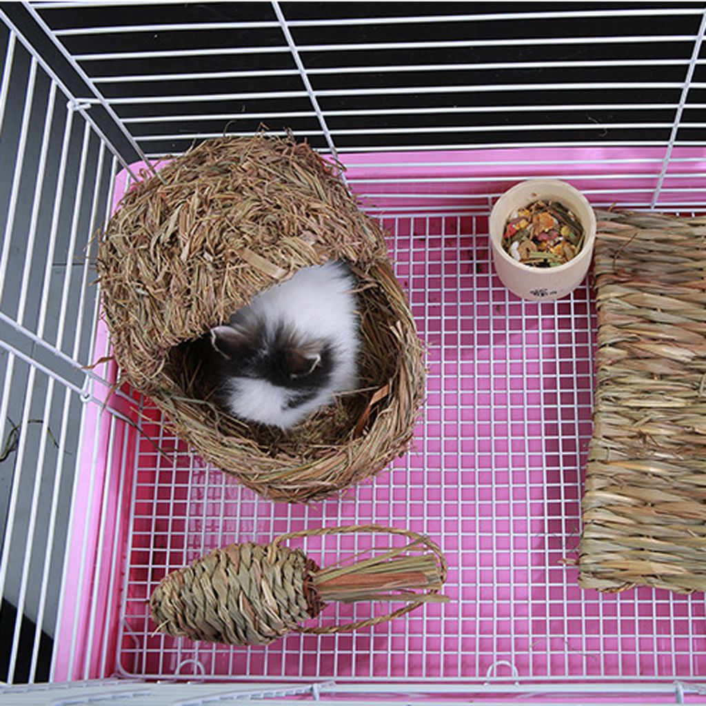 2x Rabbit Grass Carrot Radish Toy Hamster Toys Parrot Supplies Small