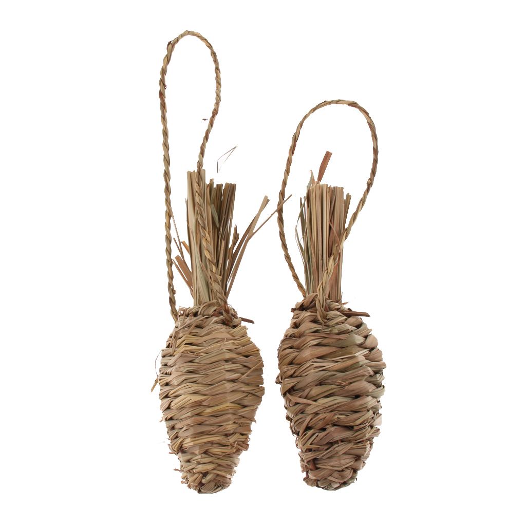 2x Rabbit Grass Carrot Radish Toy Hamster Toys Parrot Supplies Small