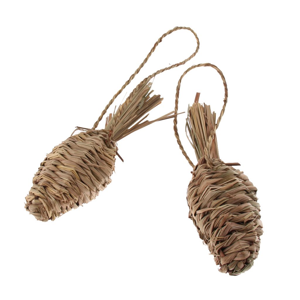 2x Rabbit Grass Carrot Radish Toy Hamster Toys Parrot Supplies Small