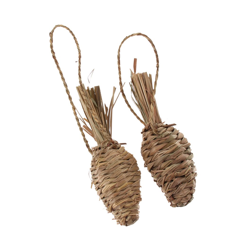 2x Rabbit Grass Carrot Radish Toy Hamster Toys Parrot Supplies Small