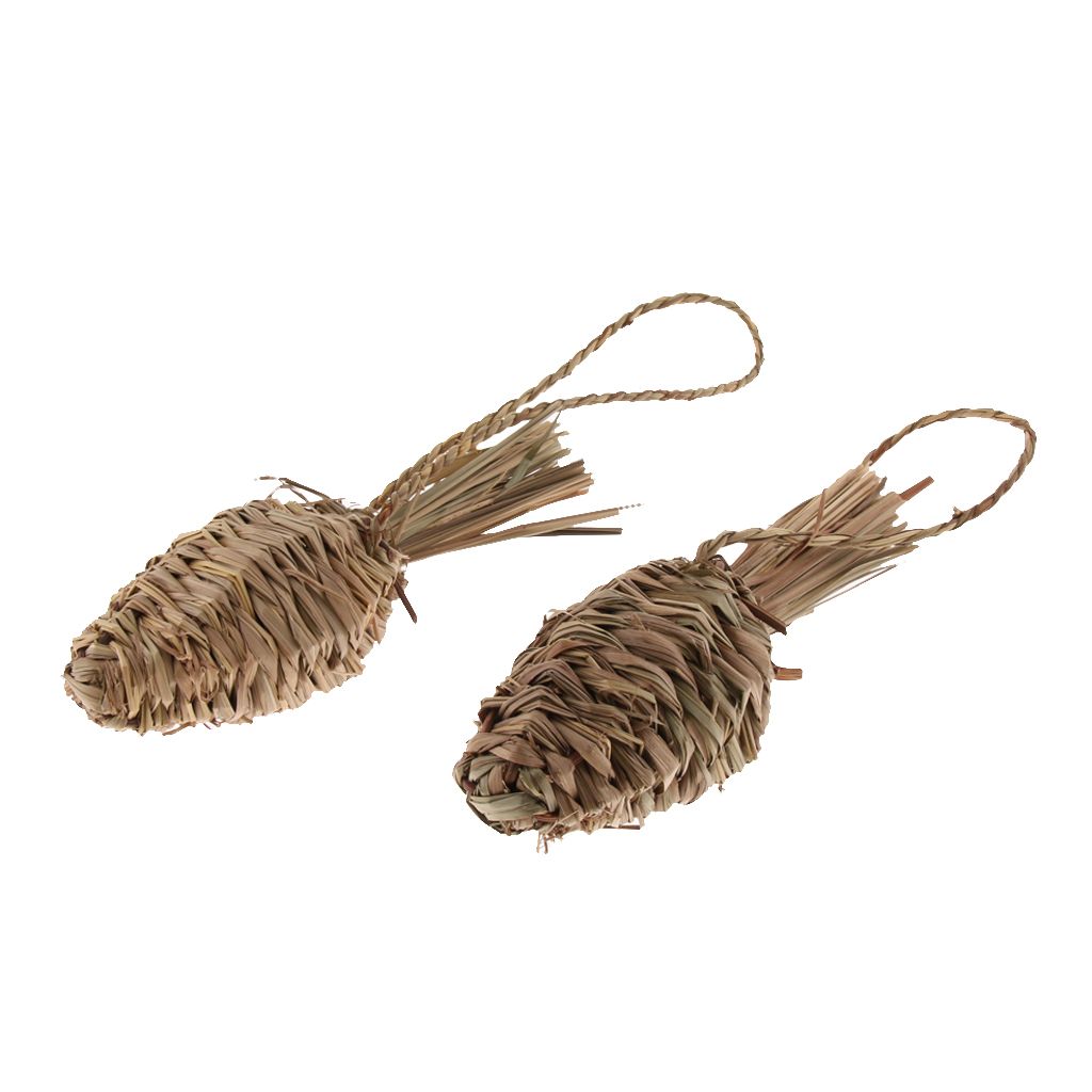 2x Rabbit Grass Carrot Radish Toy Hamster Toys Parrot Supplies Small