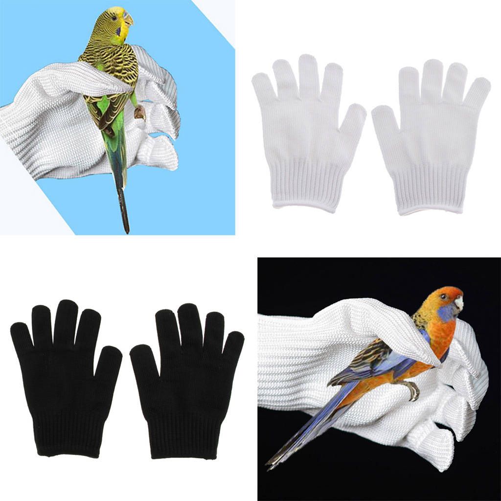 1 Pair Wear Resistant Anti-biting Foraging Bird Parrot Glove Black