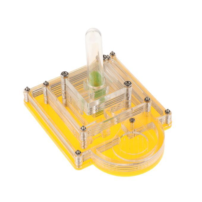 Acrylic Ant Nest Farm Educational Formicarium Ant Nest For Ant Colony