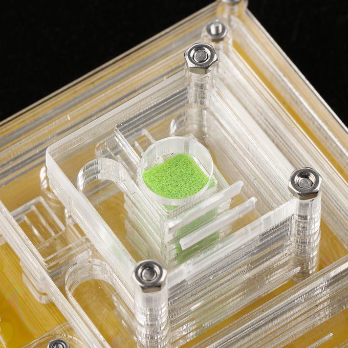 Acrylic Ant Nest Farm Educational Formicarium Ant Nest For Ant Colony