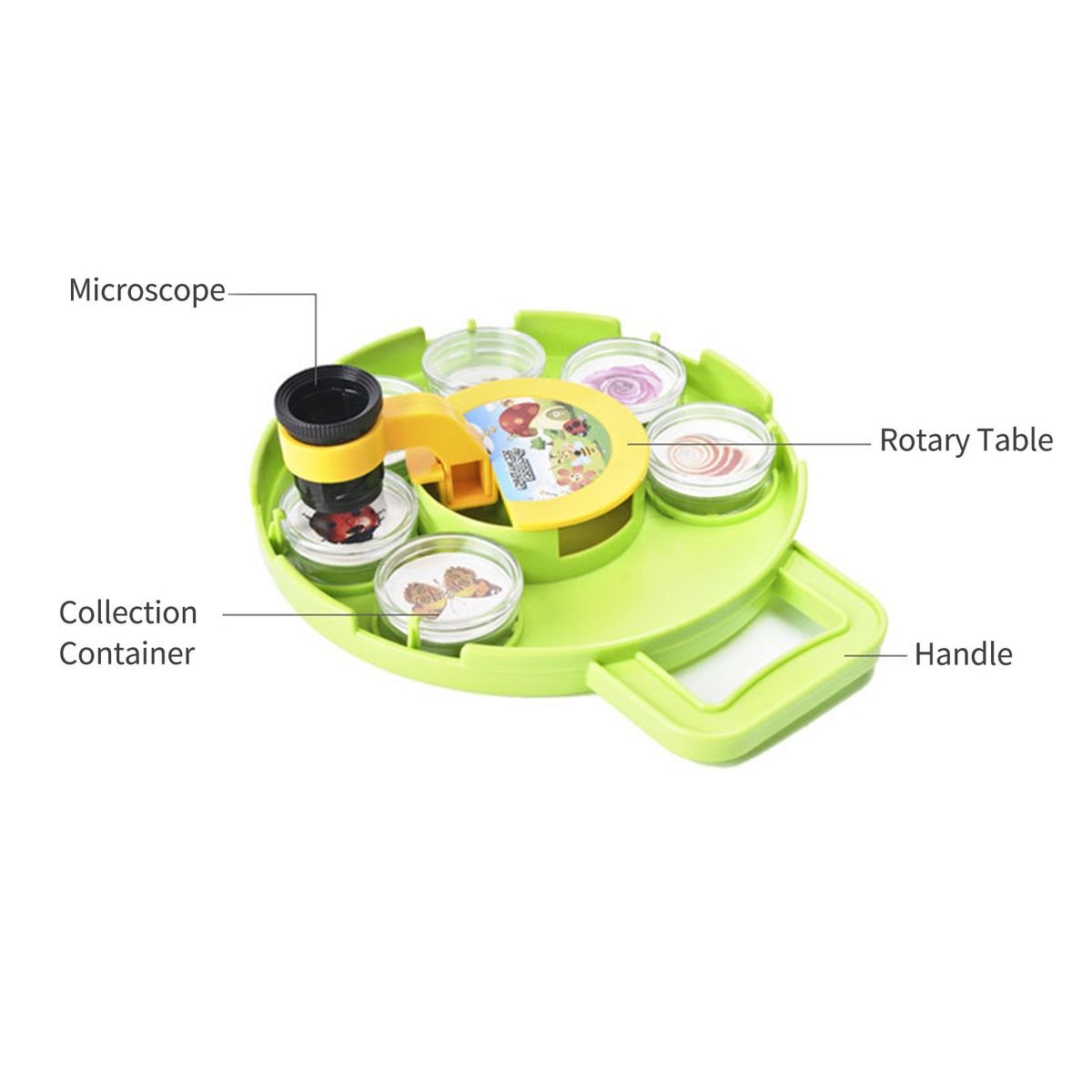 Microscope Magnifying Viewer With Collection Case For Insect