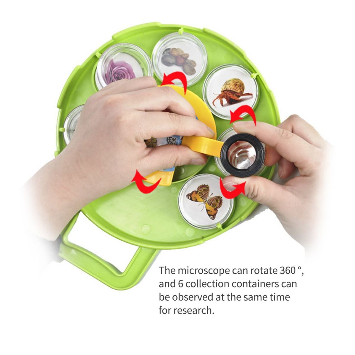 Microscope Magnifying Viewer With Collection Case For Insect