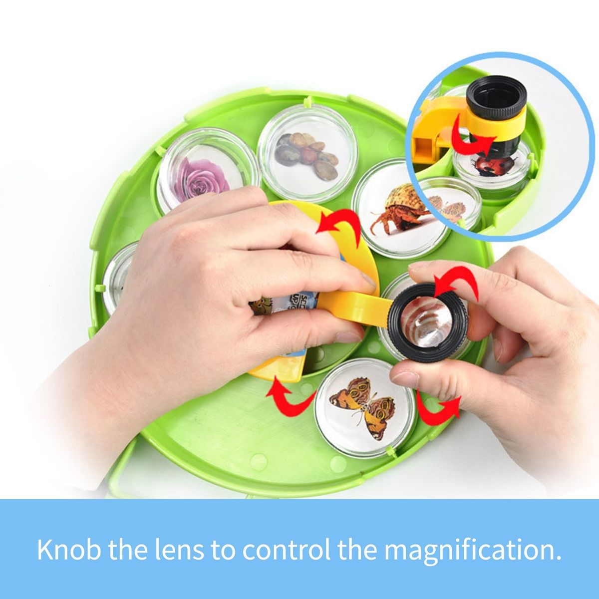 Microscope Magnifying Viewer With Collection Case For Insect