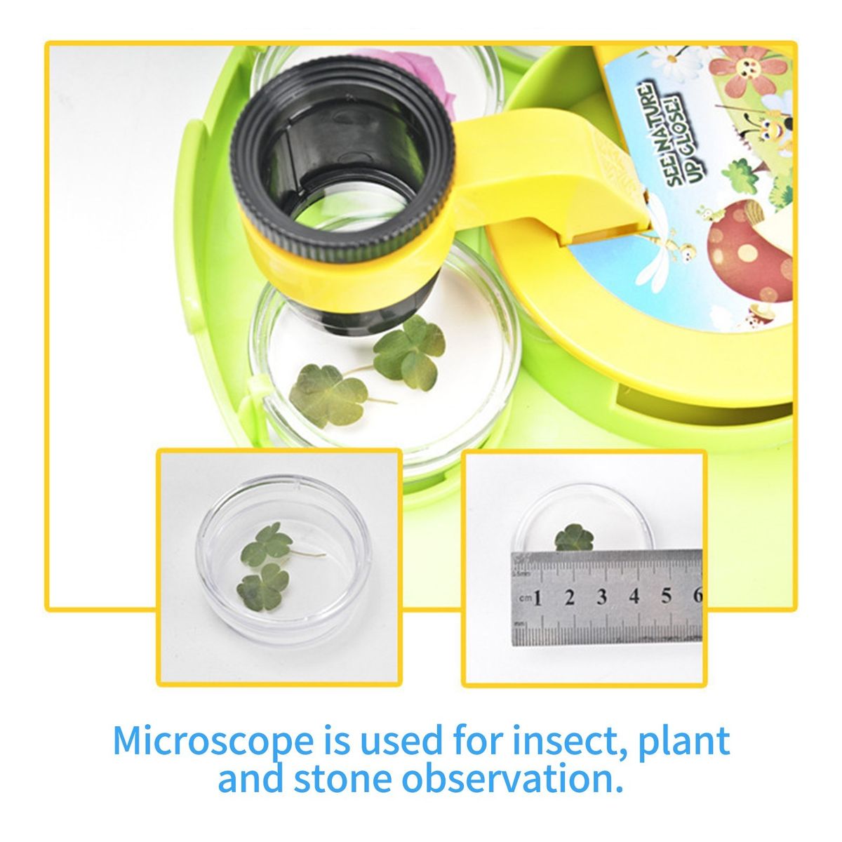 Microscope Magnifying Viewer With Collection Case For Insect