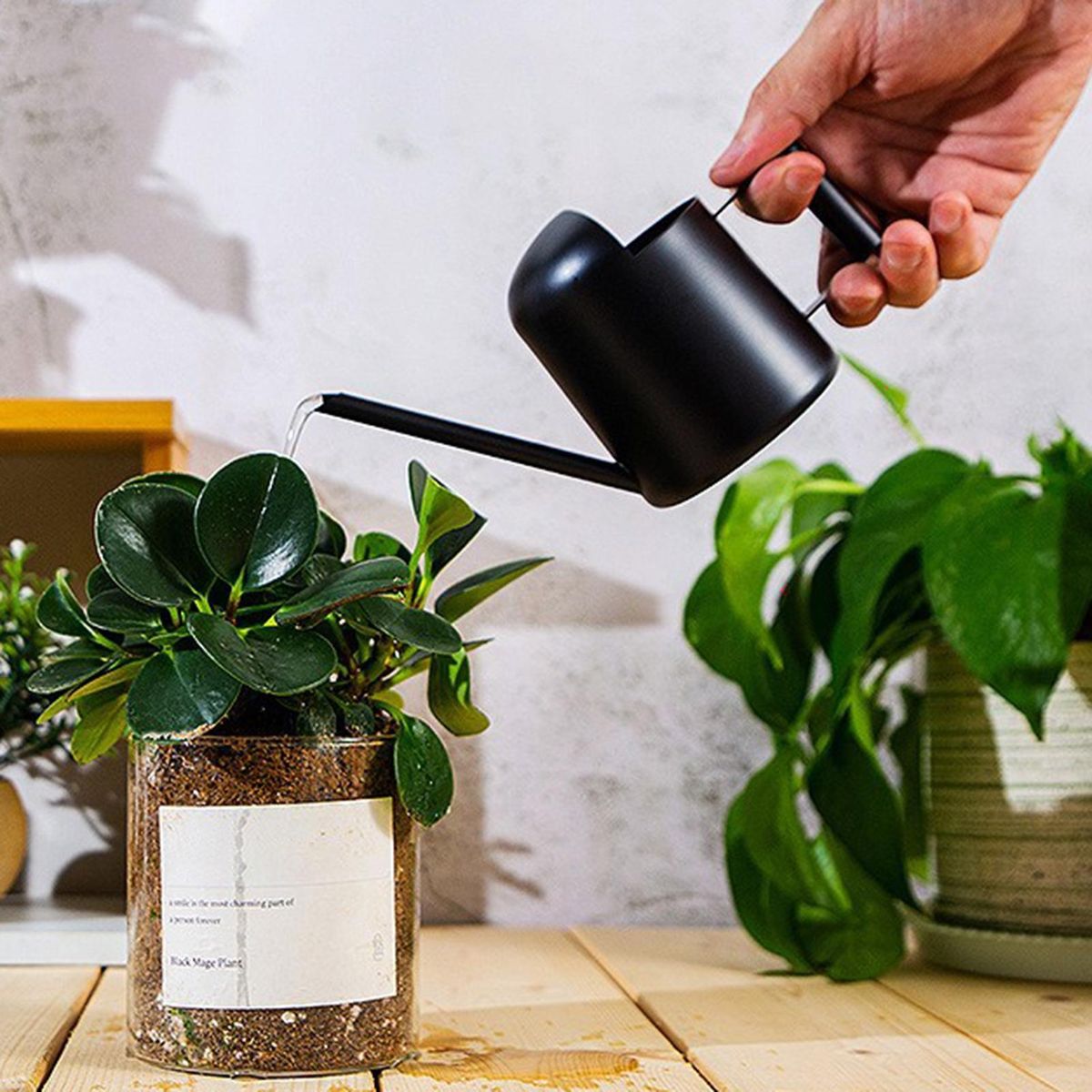 300ml Watering Stainless Steel Mini Watering Long Spout for Plants Black