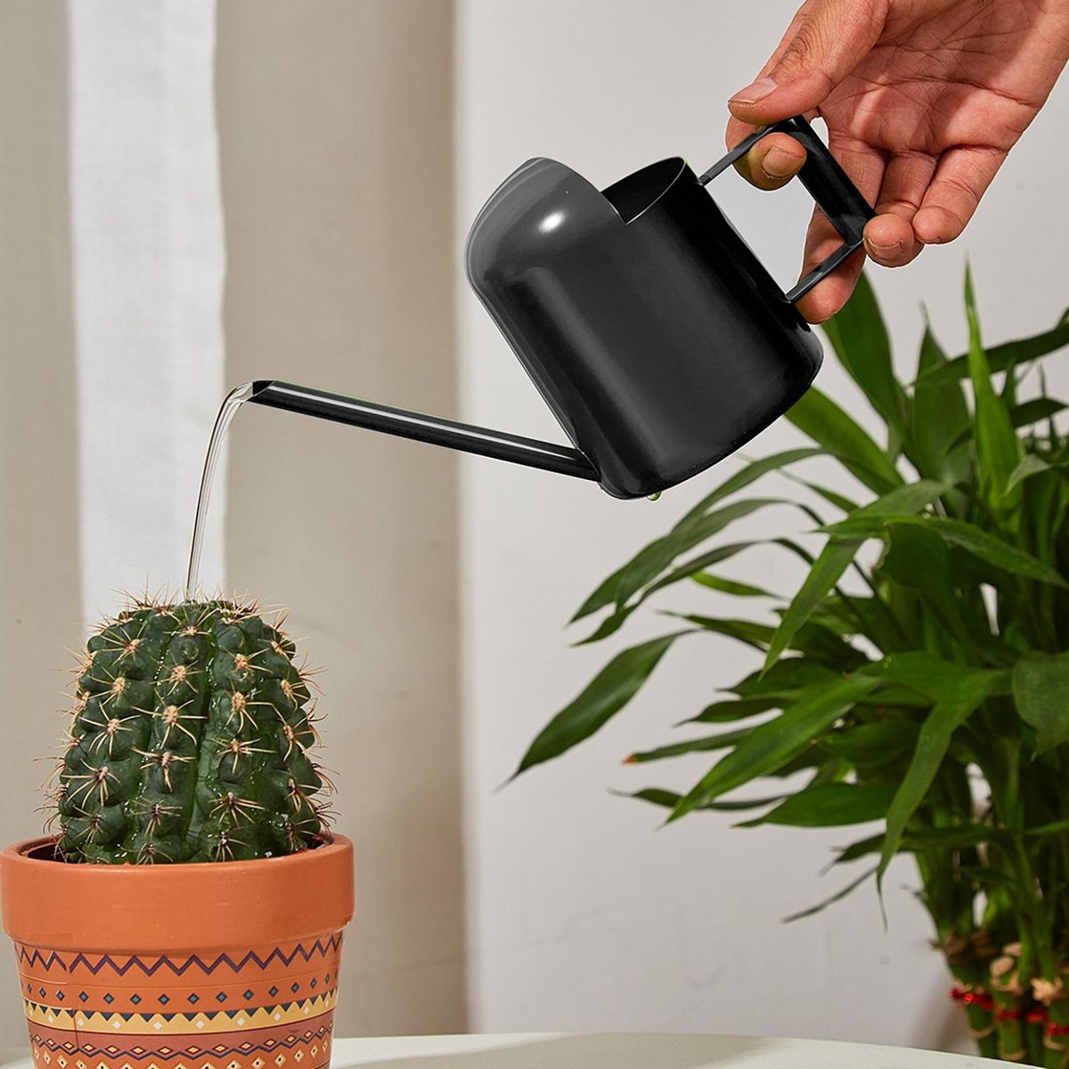 300ml Watering Stainless Steel Mini Watering Long Spout for Plants Black