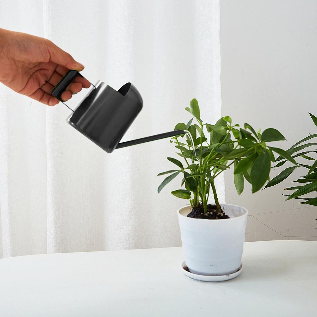 300ml Watering Stainless Steel Mini Watering Long Spout for Plants Black