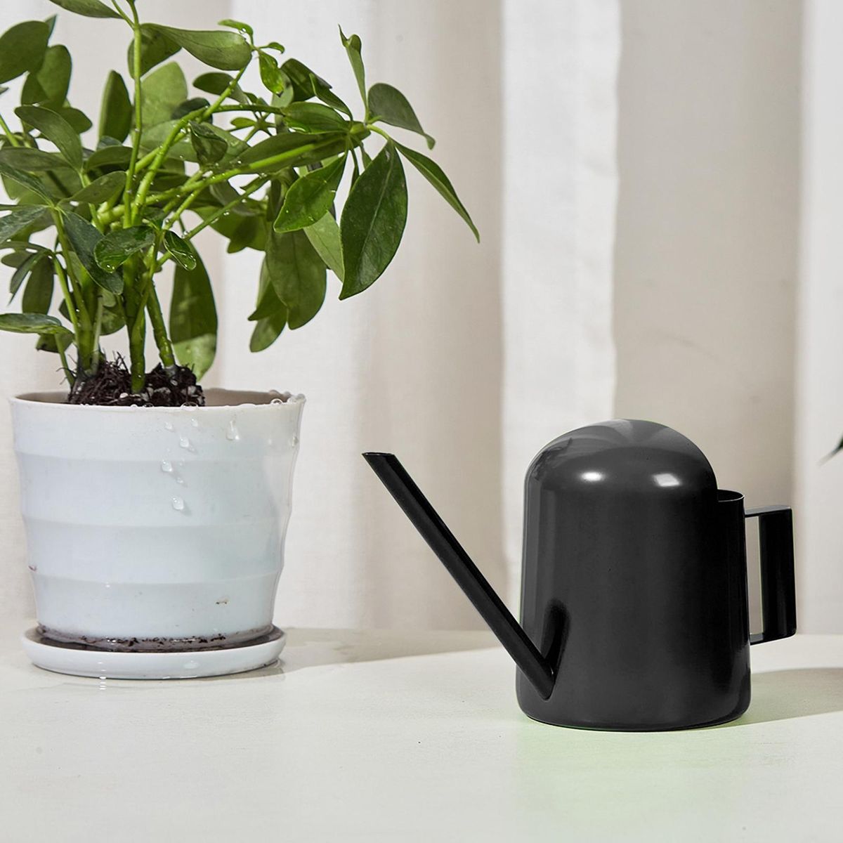 300ml Watering Stainless Steel Mini Watering Long Spout for Plants Black