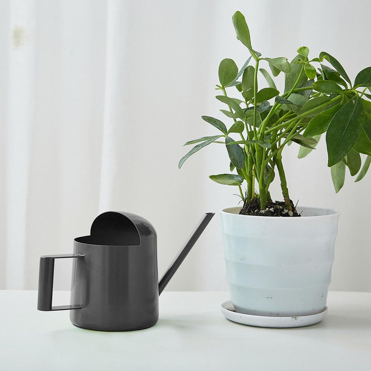 300ml Watering Stainless Steel Mini Watering Long Spout for Plants Black