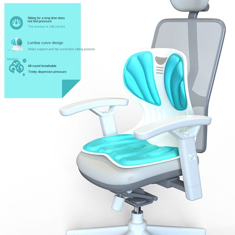 Sitting Posture Correction Chair Ergonomic Lower Back Support Lumbar Posture Corrector For Low Back Pain Relief For Home Office Sky Blue