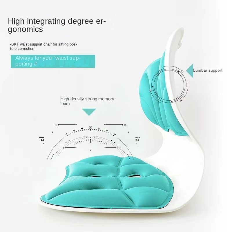Sitting Posture Correction Chair Ergonomic Lower Back Support Lumbar Posture Corrector For Low Back Pain Relief For Home Office Sky Blue