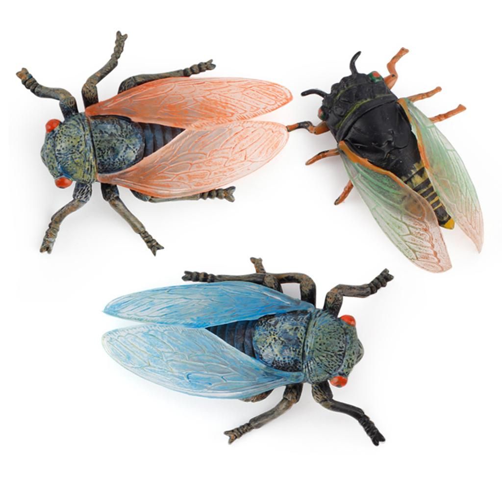 3pcs Lifelike  Model Cicada Toys Figures