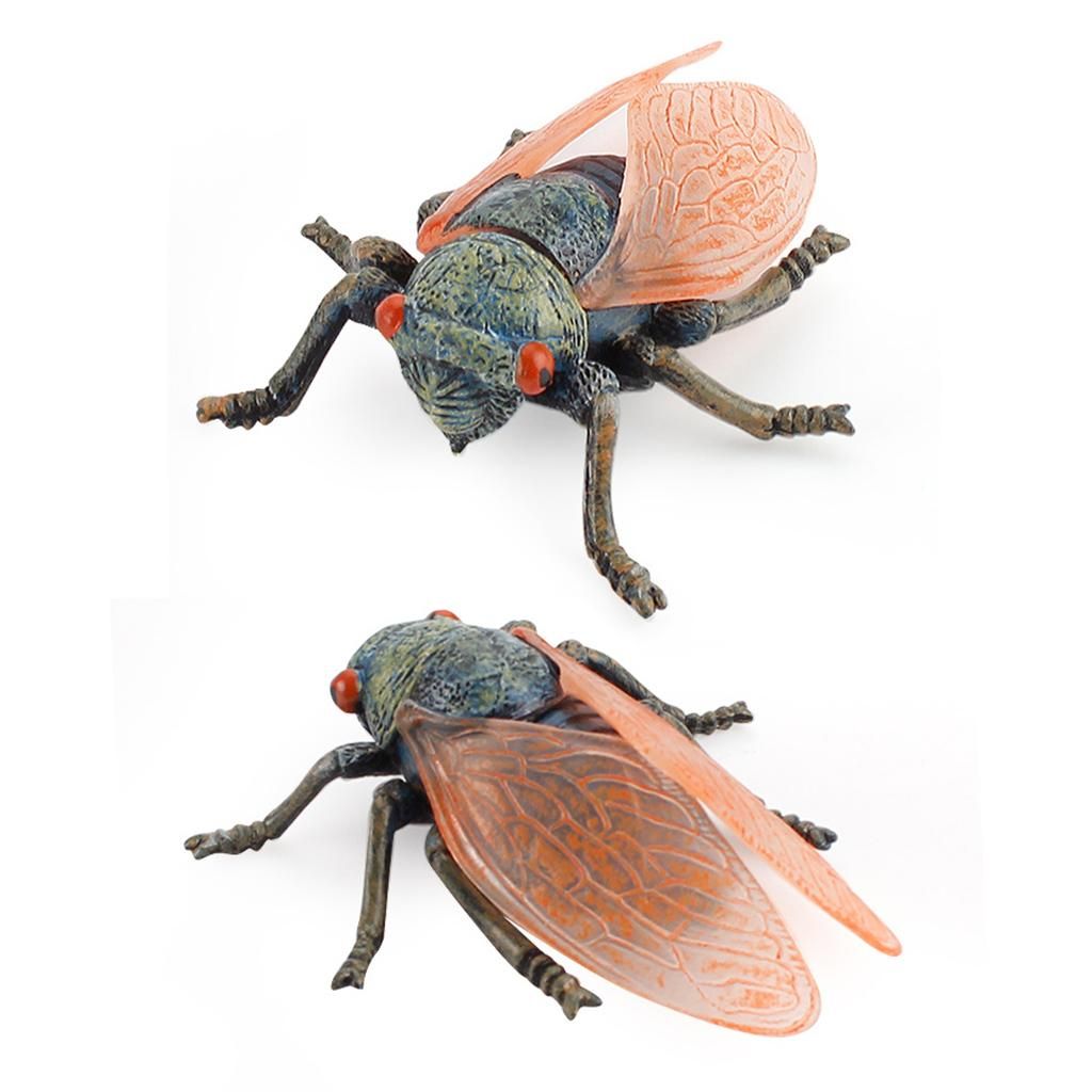 3pcs Lifelike  Model Cicada Toys Figures