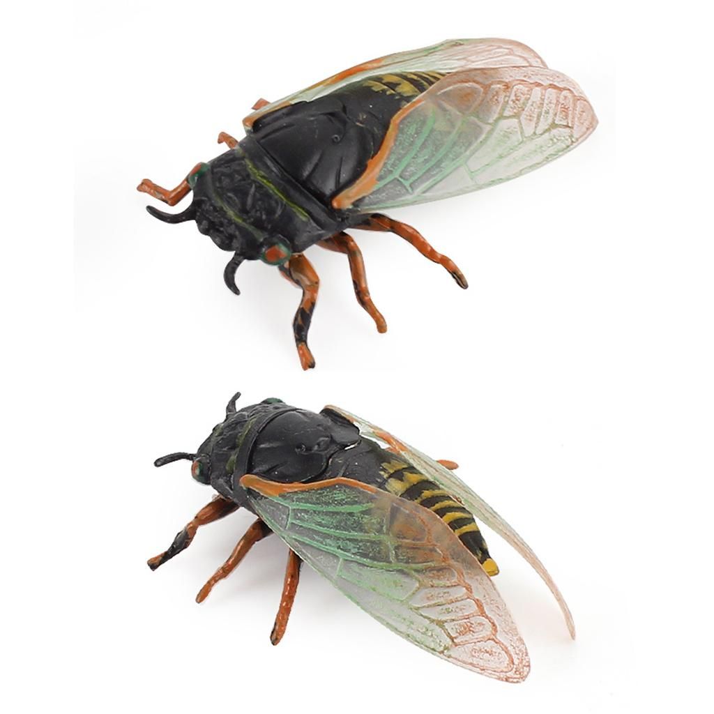 3pcs Lifelike  Model Cicada Toys Figures