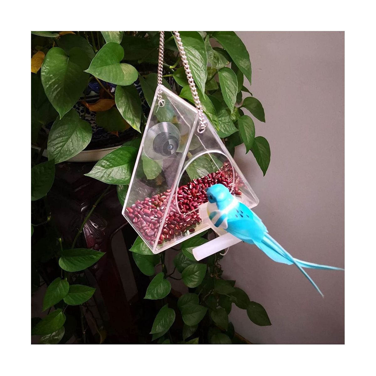 with Wireless Outdoor Camera, Bird House with 720P Camera