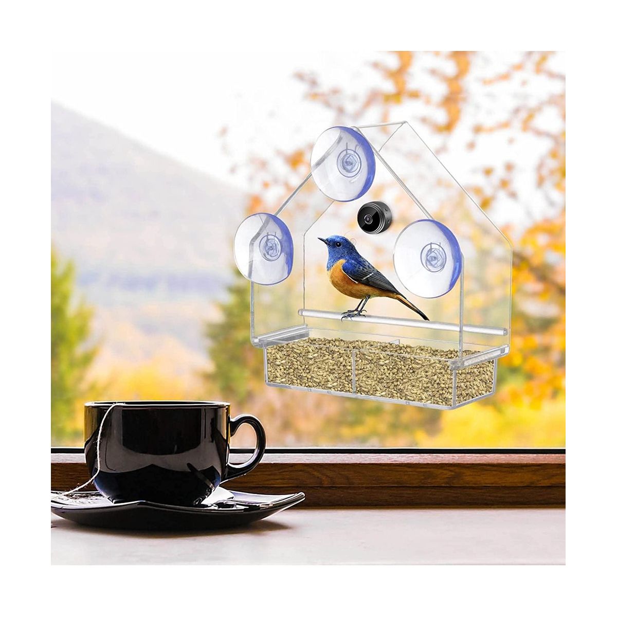 with Wireless Outdoor Camera, Bird House with 720P Camera