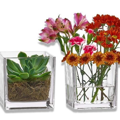 Empty Decorative Centerpieces Cube Glass Vase (8 × 8cm)