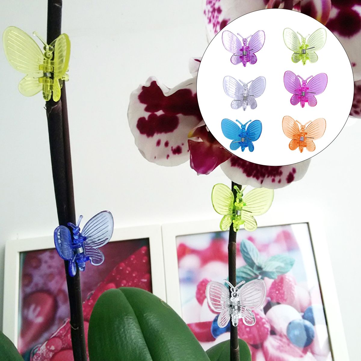 30Pcs Orchid Clips Butterfly Colorful Plant C