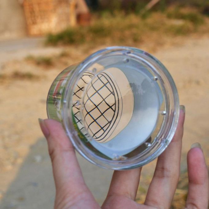 Insect Observation Magnifier Box Cup Spectator Experiment-