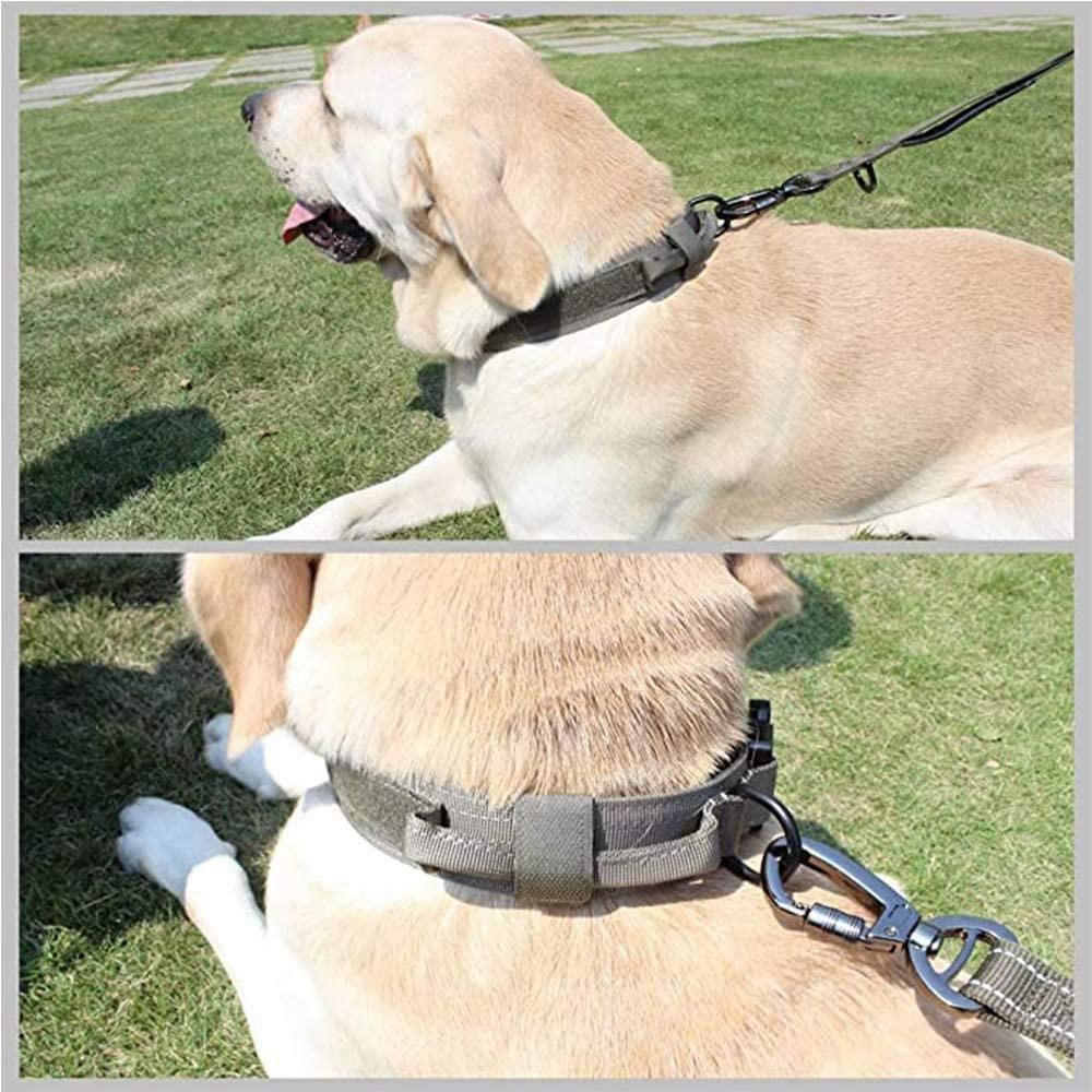 Dog Collar Adjustable Nylon Dog Collar Heavy Duty Metal