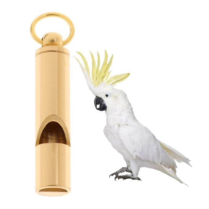Durable Aluminum For Bird Pigeon Parrot Pet Training Feeding
