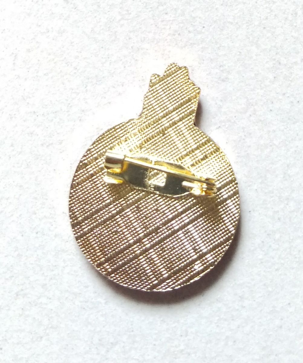 NYSC Crest Lapel Pin