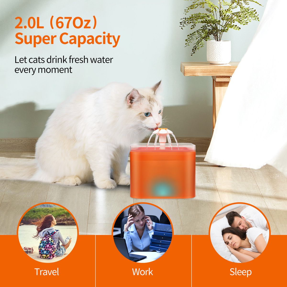 Pet Water Dispenser Intelligent Automatic Cycle