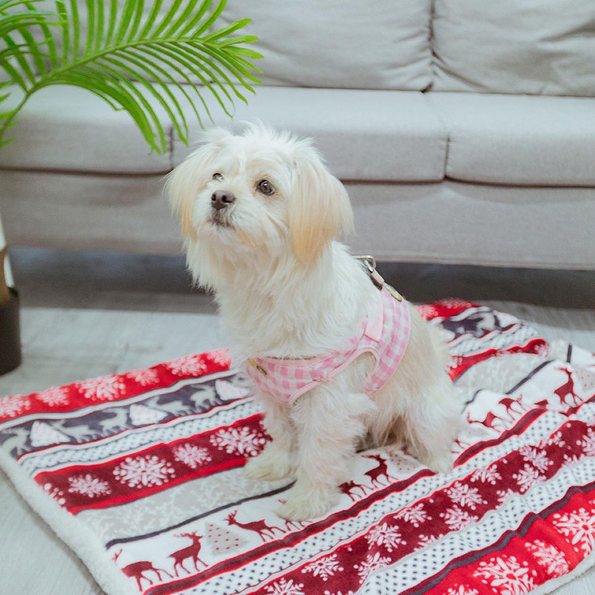 Cat Cage Mat Cat Blanket Warm Puppy Mat
