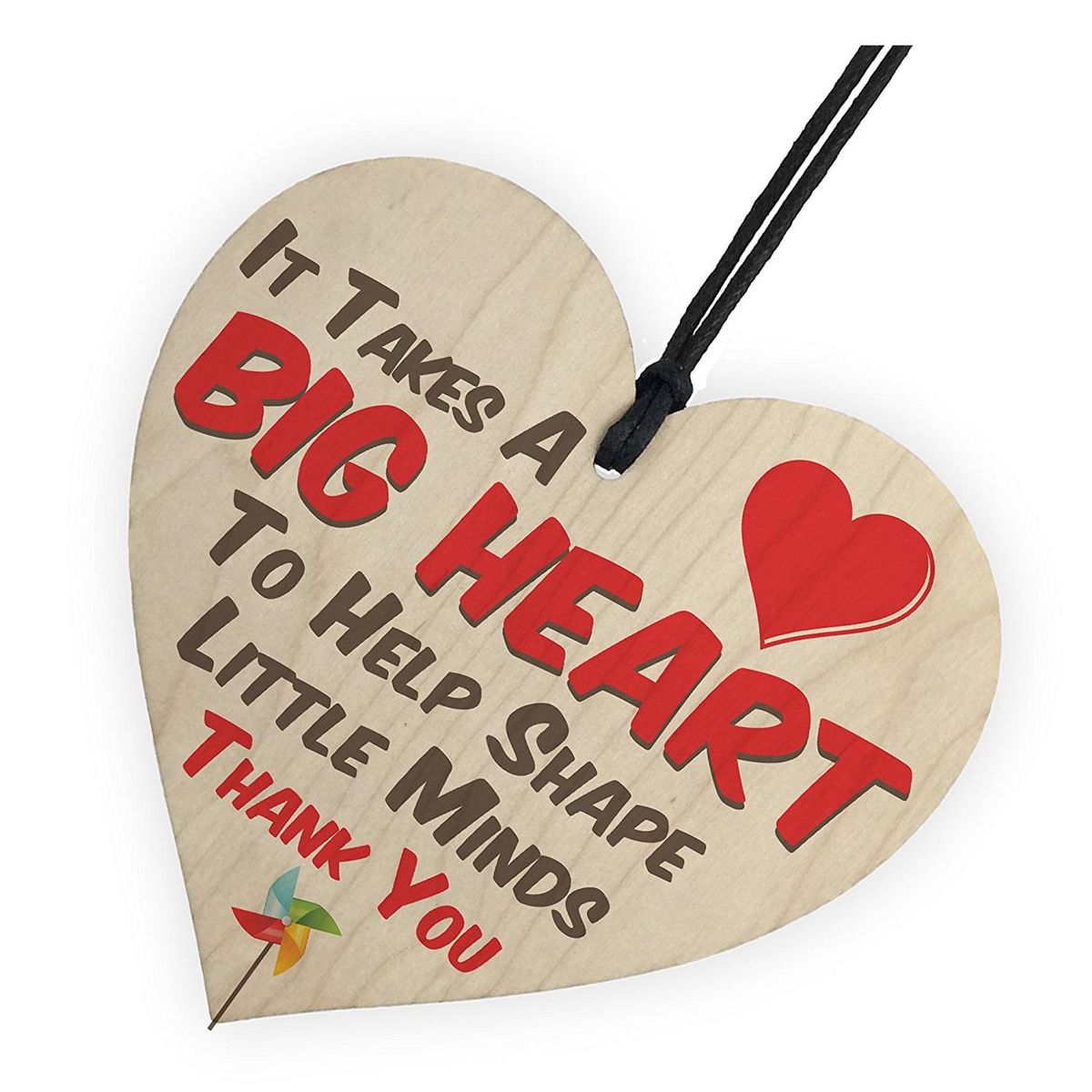 Big Heart Little Minds Teacher Mentor Tutor Hanging Plaque