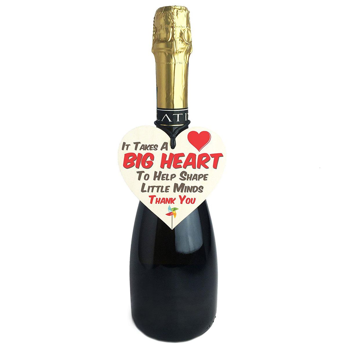 Big Heart Little Minds Teacher Mentor Tutor Hanging Plaque