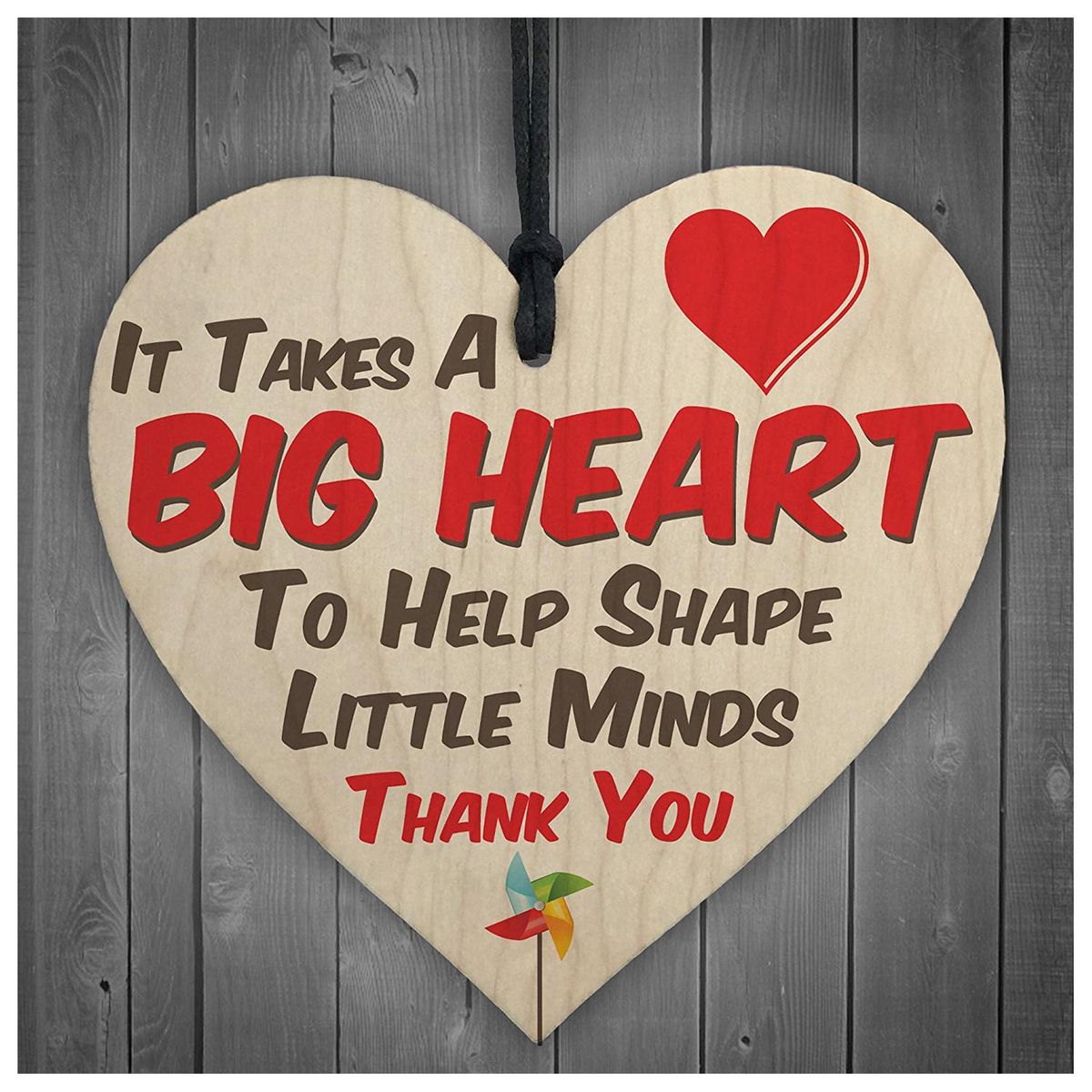 Big Heart Little Minds Teacher Mentor Tutor Hanging Plaque