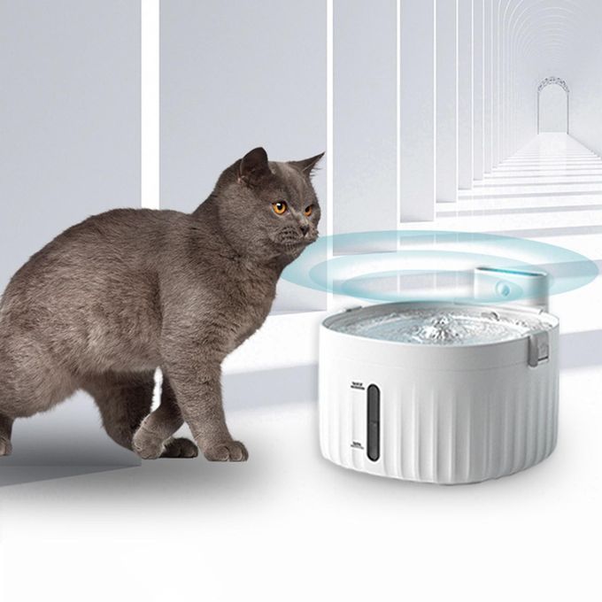 Pet Water Fountain Electric Water Dispenser With Filter Automatic