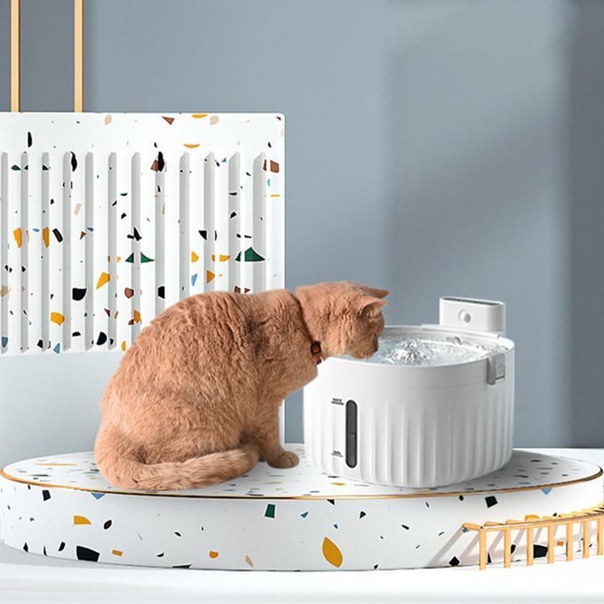 Pet Water Fountain Electric Water Dispenser With Filter Automatic