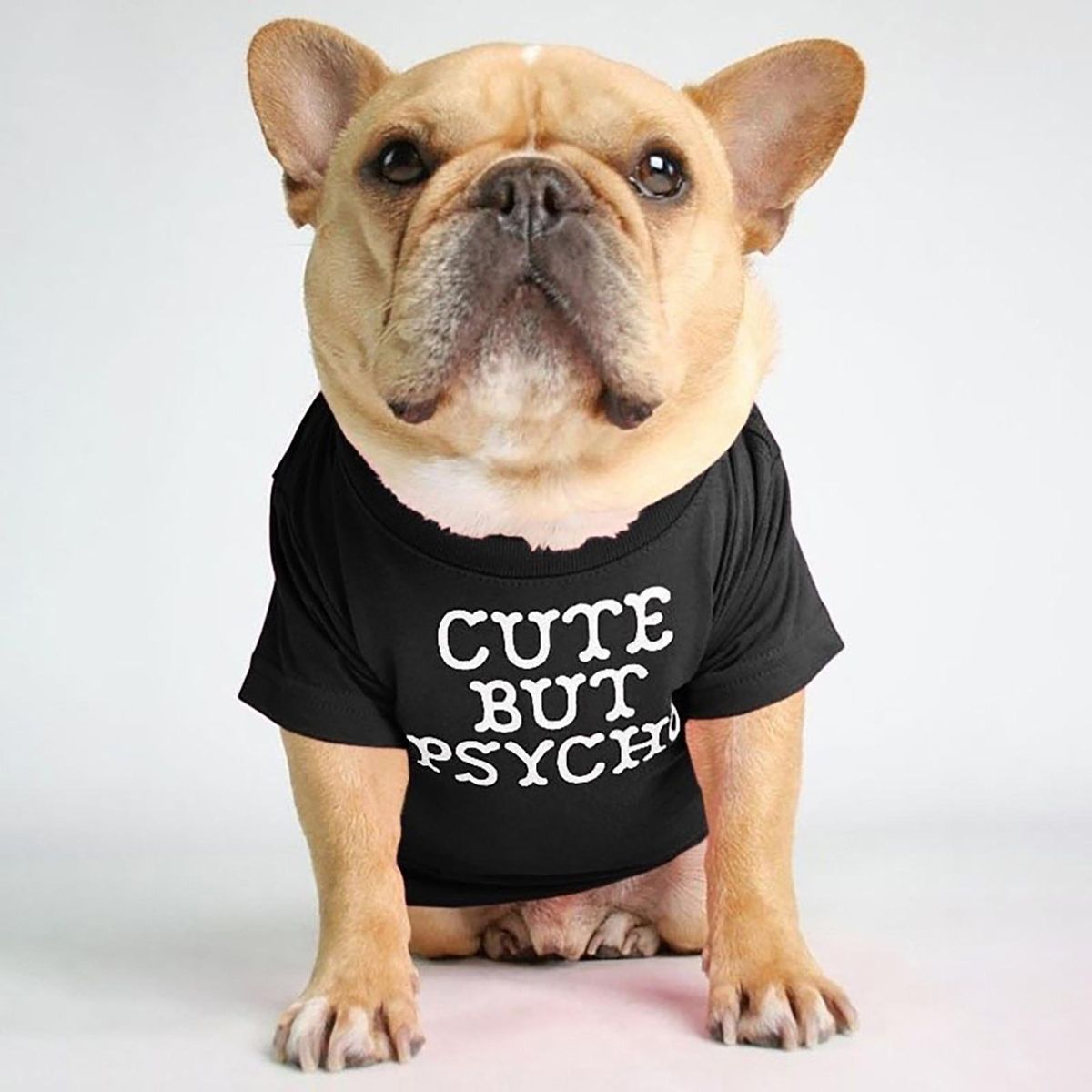 Pet T-shirt Round Neck Fine Workmanship Cotton Soft-Black